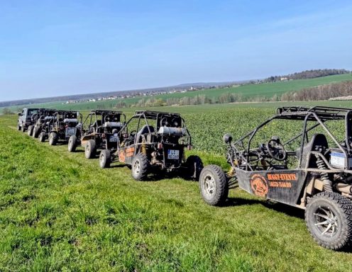 Fünf Offroad-Buggys auf einer grünen Wiese unter blauem Himmel.
